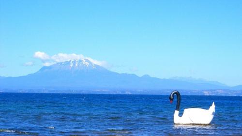 Llanquihue Apartment | Cabañas Volcanes del Sur,