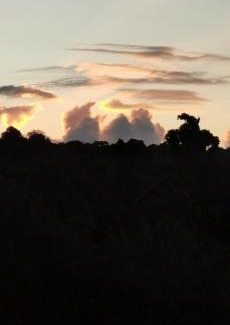 San Isidro House | Cabañas Yaguarundi Hospedaje