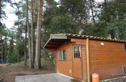 Beguda Ski Chalet | Cabañita de madera en Mas Coguleras