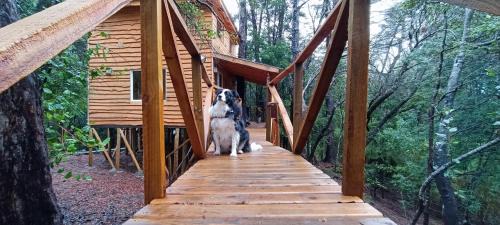 Pinto Ski Chalet | Cabañita Del Árbol Concón