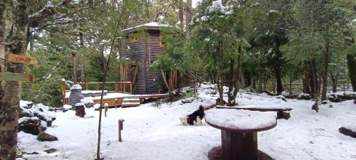 Pinto Ski Chalet | Cabañita Del Árbol
