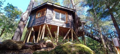 Pinto Ski Chalet | Cabañita Del Árbol