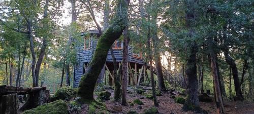 Pinto Ski Chalet | Cabañita Del Árbol