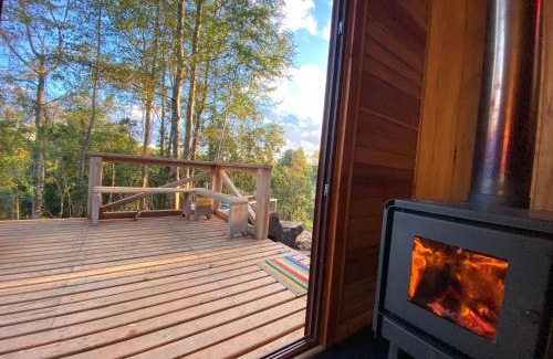 Valdivia Apartment | Cabañita del bosque
