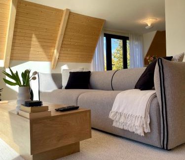 Valea Lunga Cricov Other | Cabana A-frame Cricov 9