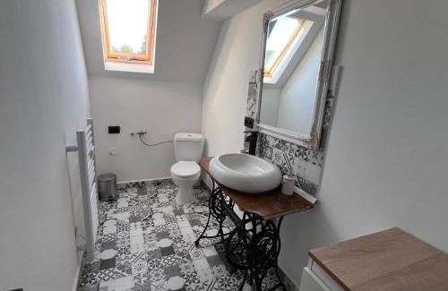 Sapinta House | Cabana Alisa Sapanta