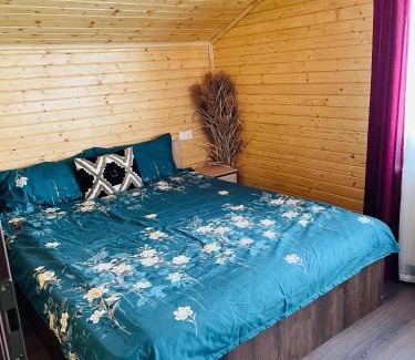 Beclean House | Cabana Amelie Baile Figa