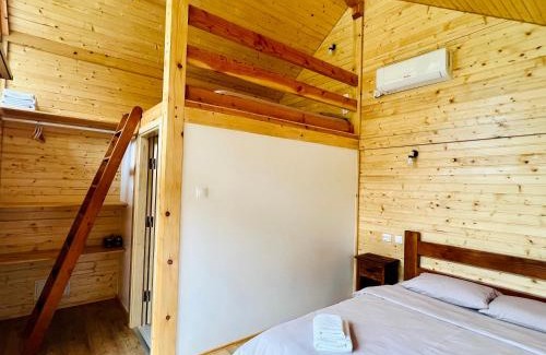 Orsova Ski Chalet | Cabana Bahna 2