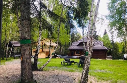 Calatele House | Cabana din padure si casutele din copac Belis