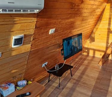 Curtea De Arges Ski Chalet | Cabana Ema