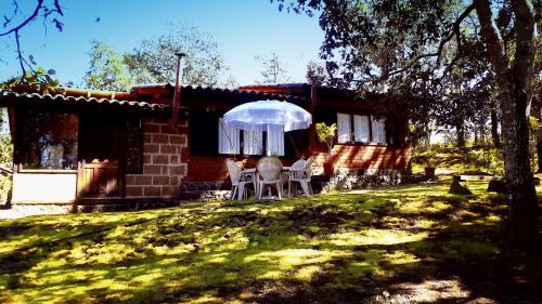 Acaxochitlan Other | Cabaña en medio del bosque ZA