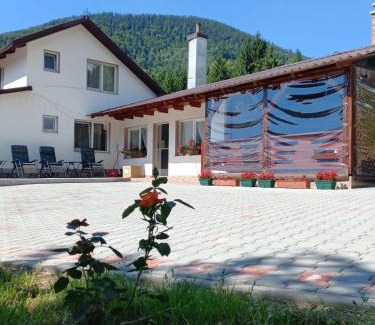 Tiha Bargaului House | Cabana Forest