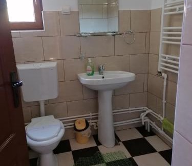 Saru Dornei House | Cabana Gabriel Bucovina