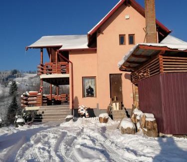 Saru Dornei House | Cabana Gabriel Bucovina