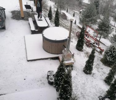 Saru Dornei House | Cabana Gabriel Bucovina