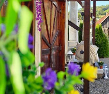 Salistea de Sus House | Cabana GRAD