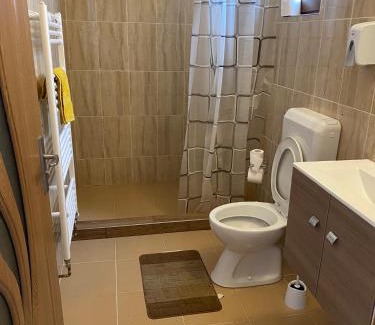 Baia-Sprie House | Cabana Izvorul Rece Maramureş