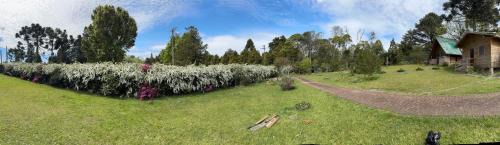 Sao Francisco de Paula House | Cabana luar de pedra