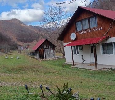 Calugareni House | Cabana lui Foardă