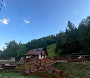 Poiana Vadului House | Cabana MARA