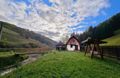 Poiana Vadului House | Cabana MARA