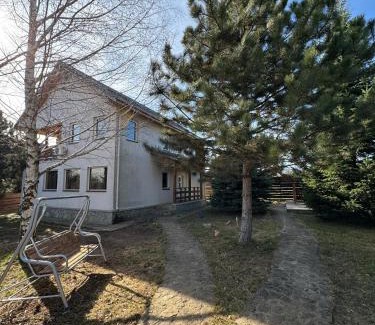 Lunca Mare House | CABANA NATURE VIEW