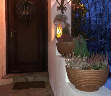 Sucevita House | Cabana Paulino