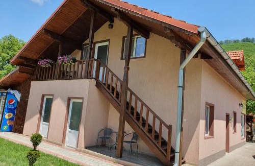 Orastioara de Sus House | Cabana Sarmis Costesti