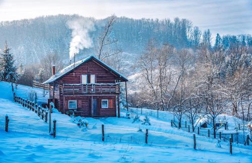 Partestii de Jos Ski Chalet | Cabana Trei Brazi Cacica