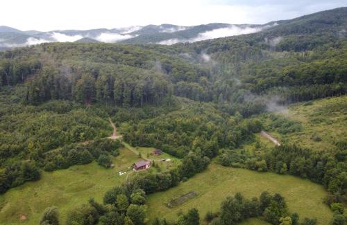 Partestii de Jos Ski Chalet | Cabana Trei Brazi Cacica