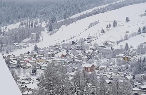 Vatra Dornei House | Cabana vultur2 strada popeni