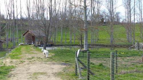 Saint-Pierre-Eynac House | Cabane au bord d'un étang