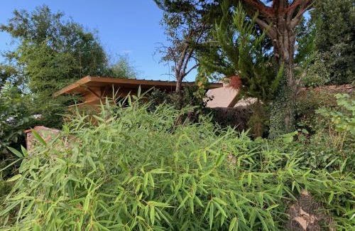 Huriel Other | cabane bambou