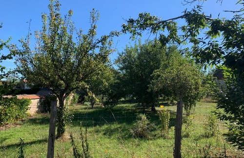 Huriel Other | cabane bambou