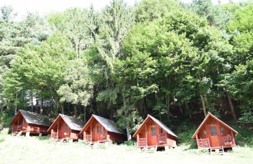 Oestii Paminteni Other | CABANUTE si CAMPING DRACULA