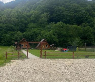 Rucar Ski Chalet | Cabanutze Satic