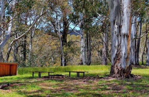 Adaminaby House | Cabin 1 - Snowy Accommodation