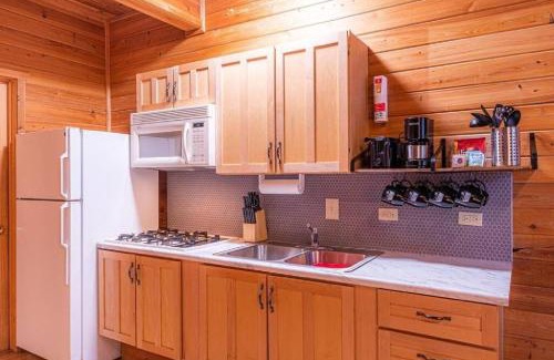 Christopher Creek Ski Chalet | Cabin #5 Black Bear - Pet Friendly - Sleeps 6 - Playground & Game Room