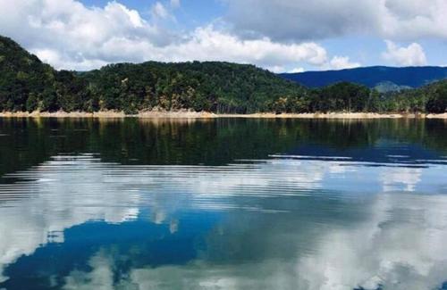 Butler House | Cabin at the cove at Watauga Lake