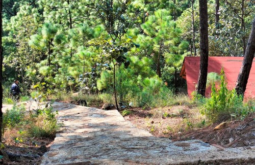 Mazamitla Cabin | Cabin for 2 in San Giussepe Forest