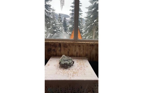 Bagvdanari House | Cabin in the forest, near to ski lift, provide breakfast and dinner