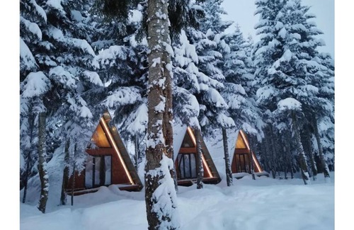 Bagvdanari House | Cabin in the forest, near to ski lift, provide breakfast and dinner
