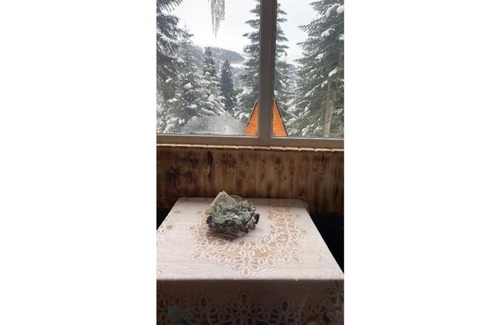 Bagvdanari Cottage | Cabin in the forest, near to ski lift, provide breakfast and dinner