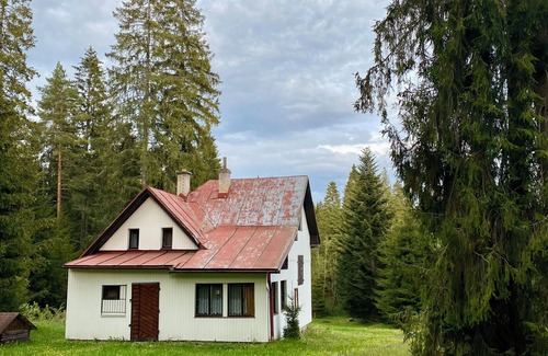 Tatranska Strba Cottage | Cabin in the heart of the Tatry Mountains, surrounded by forest.
