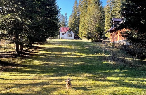 Tatranska Strba Cottage | Cabin in the heart of the Tatry Mountains, surrounded by forest.