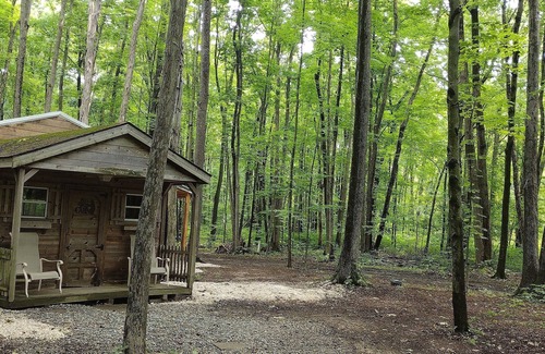 Westford Cabin | Cabin in the woods. Minutes to Pymatuning Lake.