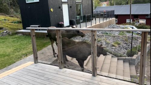 Eskilstuna Apartment | Cabin in the woods, close to Lake Mälaren