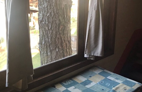 Mazamitla House | Cabin in the woods near the center!