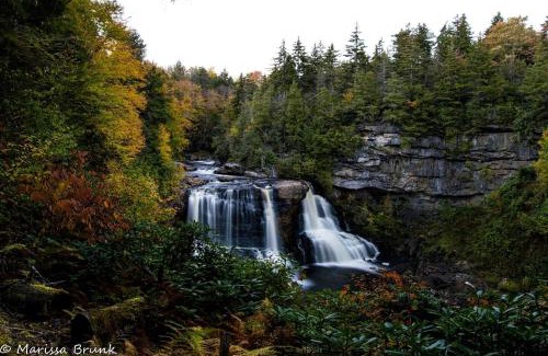 Allegheny Mountains House | Cabin in the woods w/WIFI close to Monongahela National Forest