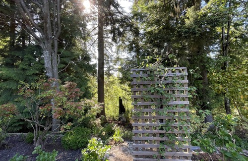 Coquitlam House | cabin-like rentals are nestled amidst lush forest
